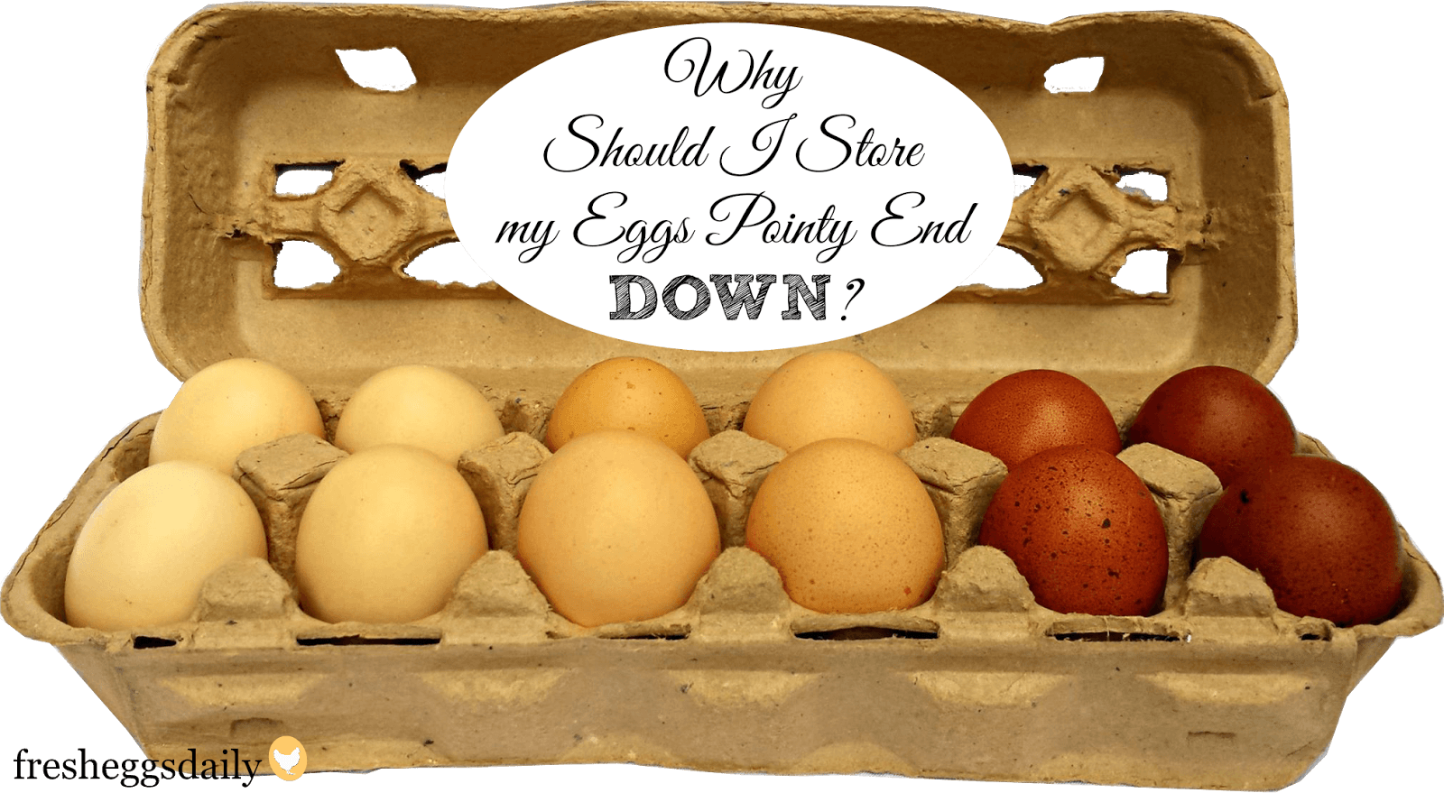 Egg Storage... Pointy side up or down?